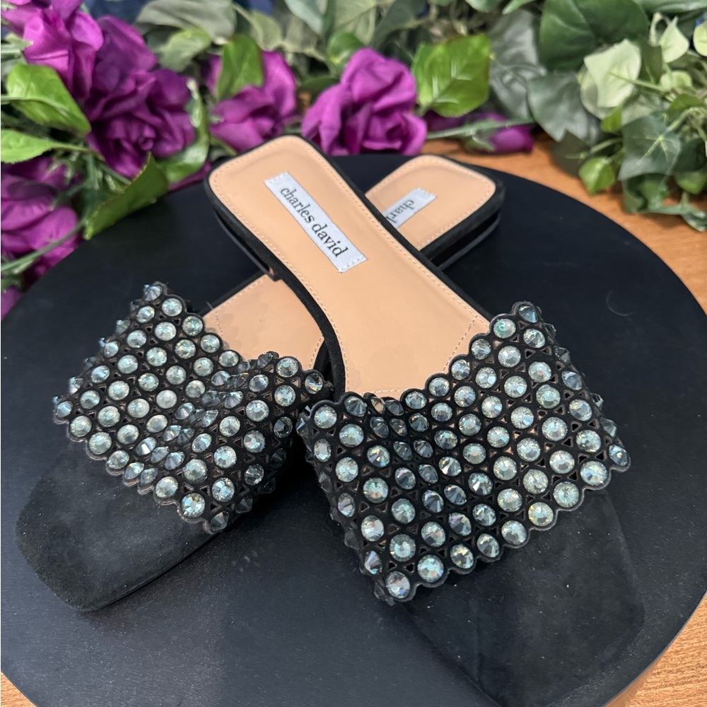 NIB Charles David Black Sparkle Flats
Size 8
